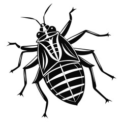 Stylized Vector Illustration of a Stink Bug Insect Detailed Black and White Rendering on a White Background