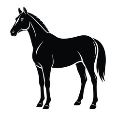 Elegant Silhouette of a Majestic Horse Standing Proudly Symbolic and Timeless Artistic Depiction with Clean Lines and Strong Form