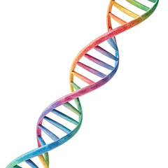 colorful dna in watercolor style dna dna helix dna watercolor dna painting colorful dna art dna design transparent background image