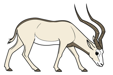 Elegant Scimitar Horned Oryx with Striking Horns Standing Gracefully Against a White Background Artistic Wildlife Illustration