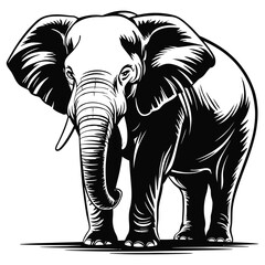 elephant vector illustration