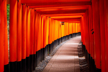 Fototapeta premium 伏見稲荷大社