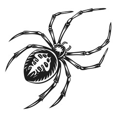 Monochrome Spider Illustration Featuring Detailed Abdomen Markings and Eight Segmented Legs in a Dynamic Pose, Isolated on White