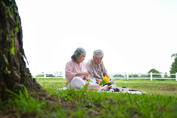 Elderly Couple Sitting on Picnic Blanket and Sharing Food in Green Park, Man and Woman Relaxing Outdoors with Picnic in Nature, Senior Couple Enjoying Leisure Time and Meal Together in Park