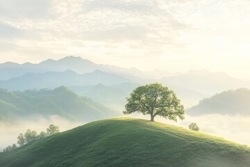 Fototapeta premium A solitary tree stands sentinel on a verdant hilltop, bathed in the soft light of a tranquil sunrise over a misty mountain range.