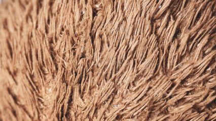 Textured Earthy Fur: A close-up captures the intricate texture of a soft, brown fur, inviting touch and providing a sense of warmth and natural comfort. 