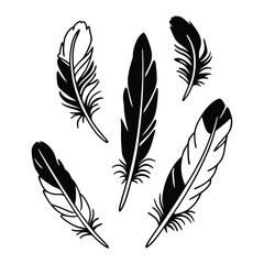 Obraz premium A collection of black and white feather illustrations isolated on white background showcases delicate details and varied shapes