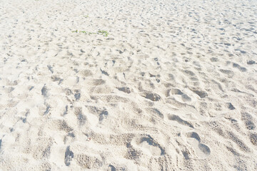 Background and texture of sand close up. Sea coast