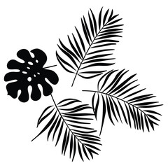 A minimalist composition of tropical leaves creates a natural and elegant design isolated on white background vector black and white flower