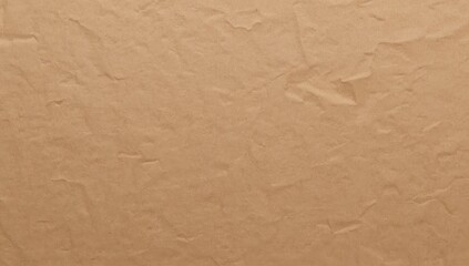 Rustic Recycled Cardboard Texture for Sustainable Design