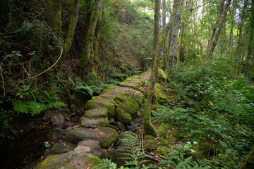 Hiking route in the Ribeira Sacra (Galicia, Spain) following the group of old Xabrega mills to the Sil canyon.