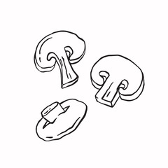 Champignon mushrooms line sketch monochrome vector