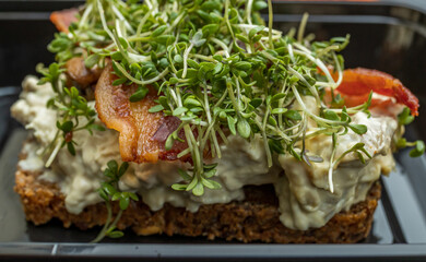 Organic toasted rye bread with chicken, tomato and pea seeds