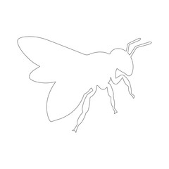 Minimal Fly Line Drawing – Insect Outline Vector for Educational Use