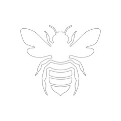 Minimal Fly Line Drawing – Insect Outline Vector for Educational Use