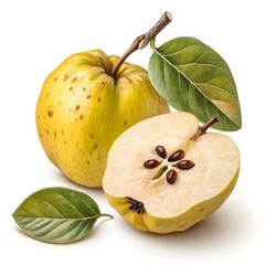 Chaenomeles Lagenaria Wild Quince Unique Rustic Beauty with Warm Autumn Tones and Timeless Heritage Elegance on Crisp White Background Perfect for Seasonal Harvest and Still Life Art