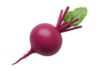 Isolated red beet with leaves and root, healthy eating concept, veggie still life