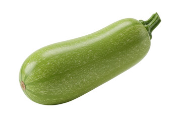 Isolated ripe summer squash green courgette, a healthy seasonal vegetable food ingredient