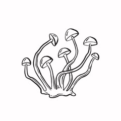 Mushrooms honey agarics line sketch monochrome vector