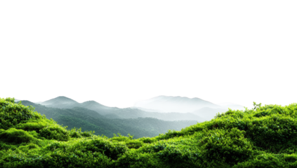 Lush green hills rise to a misty mountain range