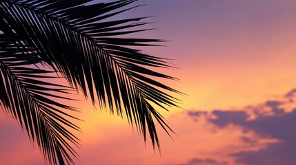 Tropical palm frond silhouette against vibrant sunset gradient, warm golden light through leaves, travel website banner, vacation advertising concept