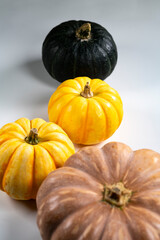Still life close-up of various pumpkins