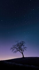 Naklejka premium Silhouetted tree under a starlit night sky