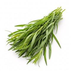Fototapeta premium A bunch of fresh tarragon with slender, long green leaves, gathered together,
