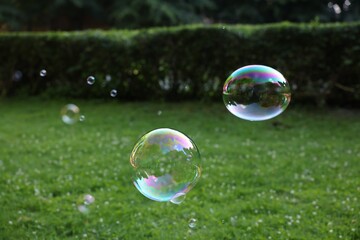 Beautiful transparent soap bubbles floating in park
