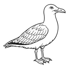 Line art drawing of a majestic seagull standing proudly portraying coastal charm and avian grace vector