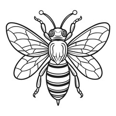 Detailed hand drawn outline of a honey bee insect with intricate wing patterns isolated vector