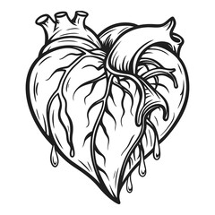 Anatomical bleeding heart with dripping tendrils in detailed black and white line art style vector