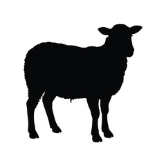 Silhouette of a standing sheep, animal isolated on a white background cutout, sheep silhouette vector illustration
