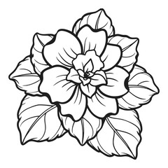 Detailed black and white line drawing of a beautiful impatiens flower blooming with lush green leaves vector