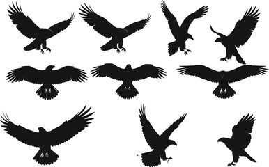 Black eagle silhouette collection, flying bird poses, raptor wings spread, hunting bird icons, wildlife vector art, majestic bird illustrations, nature predator