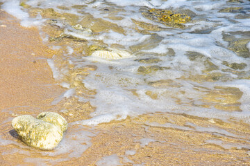 Beach ocean sea - Experience ultimate tranquility as gentle ocean waves kiss