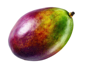 Single, vibrant mango, rich in color