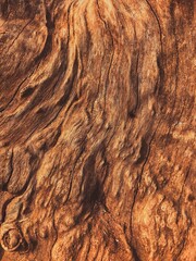Vertical Grain and Texture of Aged Wood