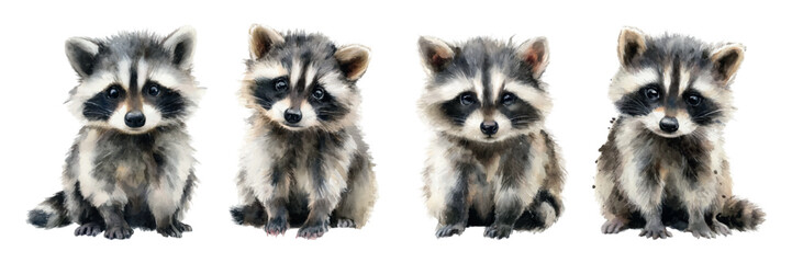 Obraz premium Set of cute watercolor raccoons. Cute sitting raccoons. Forest watercolor characters. Watercolor realistic raccoons. Vector illustration.