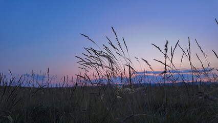 Summertime mountain fields landscape with flowers in sunset sunrise time.