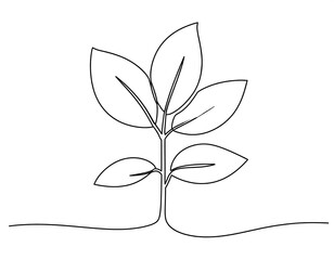 Single-line drawing of a young plant with leaves