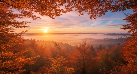 Golden Autumn Sunrise Over Misty Forest Valley with Vibrant Foliage and Sun Rays