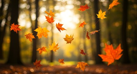 Vibrant autumn leaves falling in a sunlit forest. Golden, orange, and red foliage descending, creating a beautiful seasonal backdrop.
