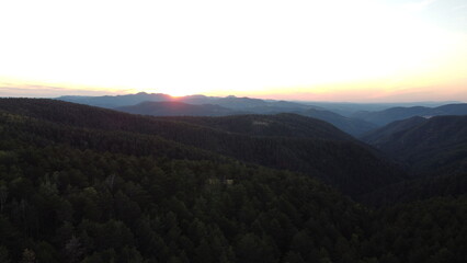 Drone aerial view of a dense green pine forest covering a mountain ridge. Scenic natural landscape...
