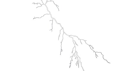 Striking Abstract Grey Branching Design on a Clean White Background