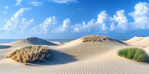 Stunning Desert Landscape Featuring Majestic Sand Dunes, Cacti, and Breathtaking Blue Sky Above