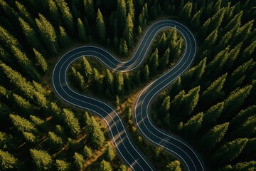 Obraz premium Winding Road Through the Forest: An aerial view showcases a serpentine road carving its way through a dense forest, offering a captivating perspective on nature and travel.
