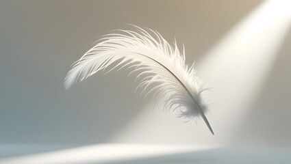 Obraz premium White feather on white backgrounds