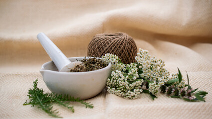 dried and fresh medicinal herbs in a white mortar with pestle on a light background