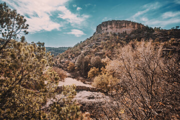 montañas, montaña, cielo, nopal, desierto, mexico, arboles, sequia, naturaleza, mountains, mountain, sky, cactus, desert, Mexico, trees, drought, nature 